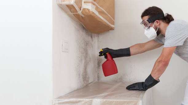 Professional Crawl Space Mold Remediation technician working in Sawyer, MI